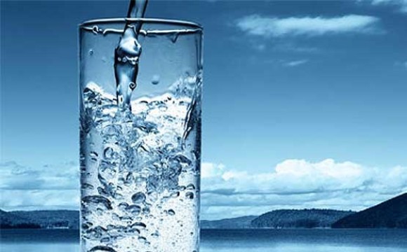 با عجیب ترین جایگزین شیر و لبنیات آشنا شوید!