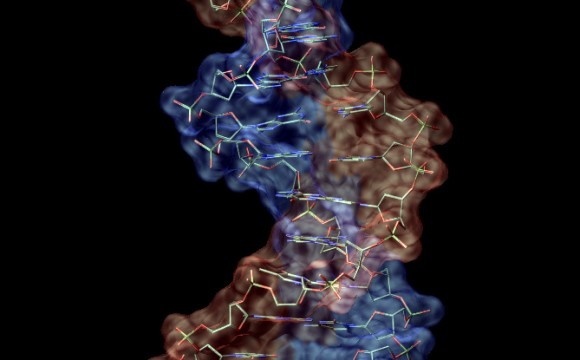 اثرات ژنتیکی تغییر چرخه نور و تاریکی