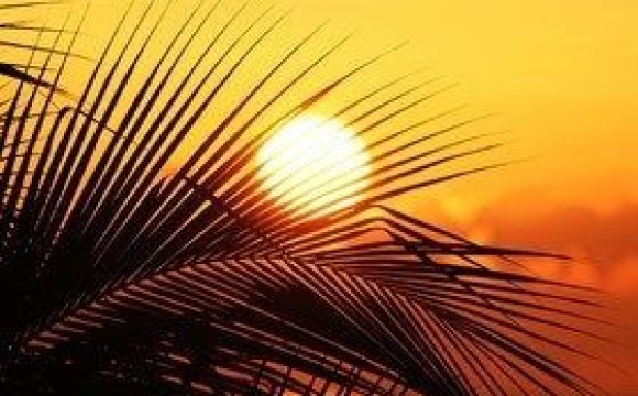 راه حل درمان گرمازدگی و سکته گرمایی