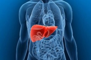 چگونه بفهمیم کبدمان چرب است؟