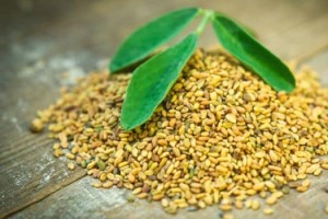 کاهش قندخون با مصرف این جوانه