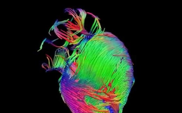 خطرات کمبود پتاسیم و فواید مهم وجود آن برای بدن